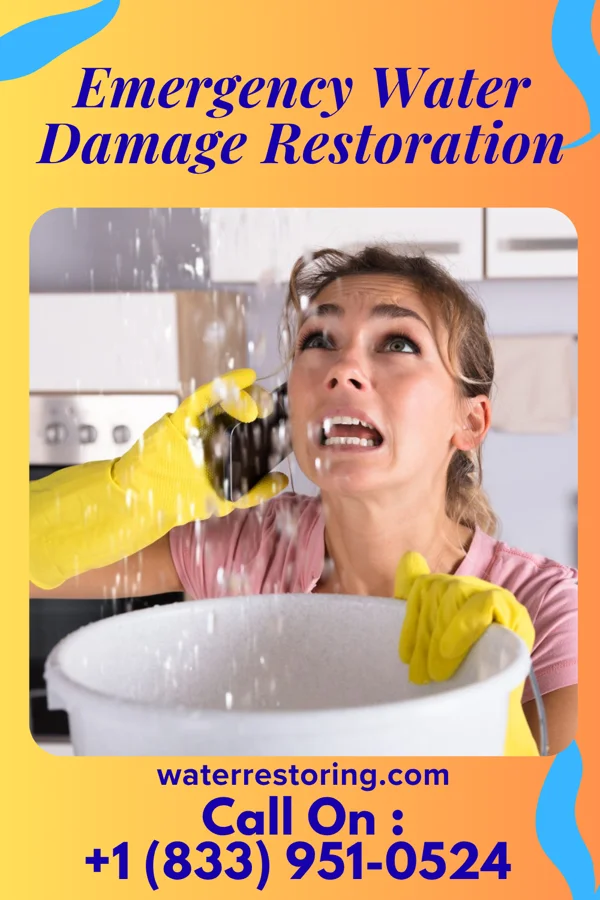 Emergency Water Damage Restoration in Marcellus, MI