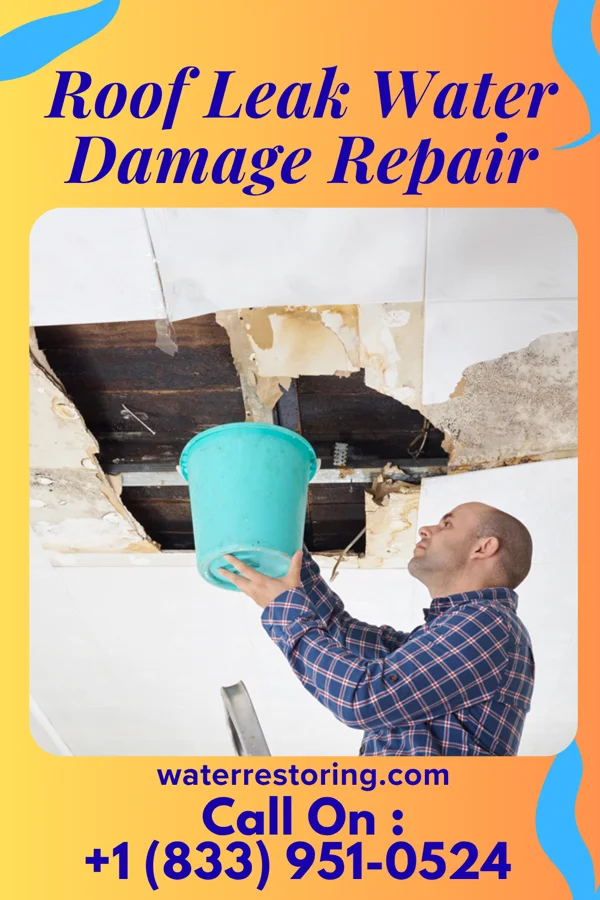 Roof Leak Water Damage Repair in Marcellus, MI