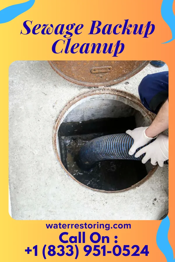 Sewage Backup Cleanup in Marcellus, MI